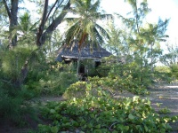 Chub Cay to Staniel Cay 182.jpg